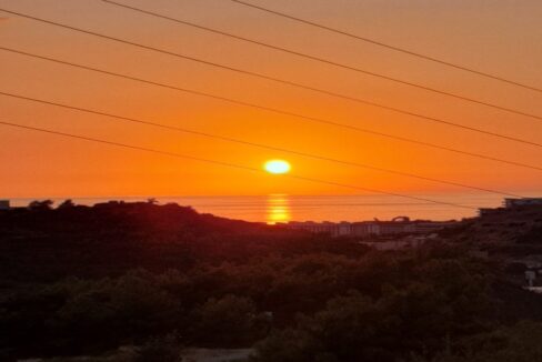 WhatsApp Image 2022-12-15 at 12.44.00 (3)