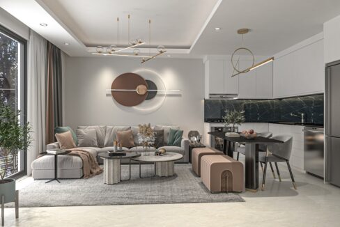 01 - 1+1 LIVING ROOM _ KITCHEN