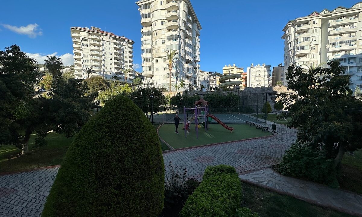 ornage garden B2--01