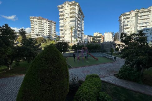 ornage garden B2--01