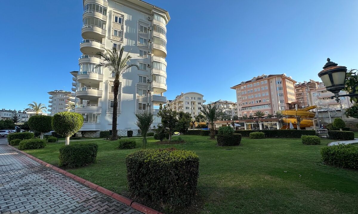 ornage garden B2--02