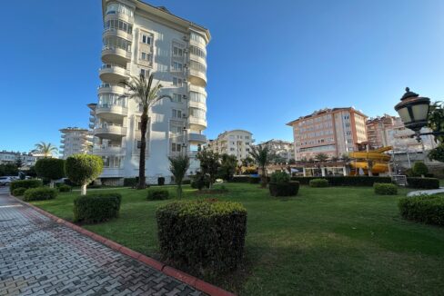 ornage garden B2--02