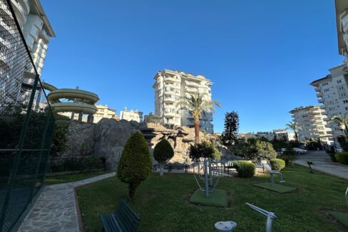 ornage garden B2--03