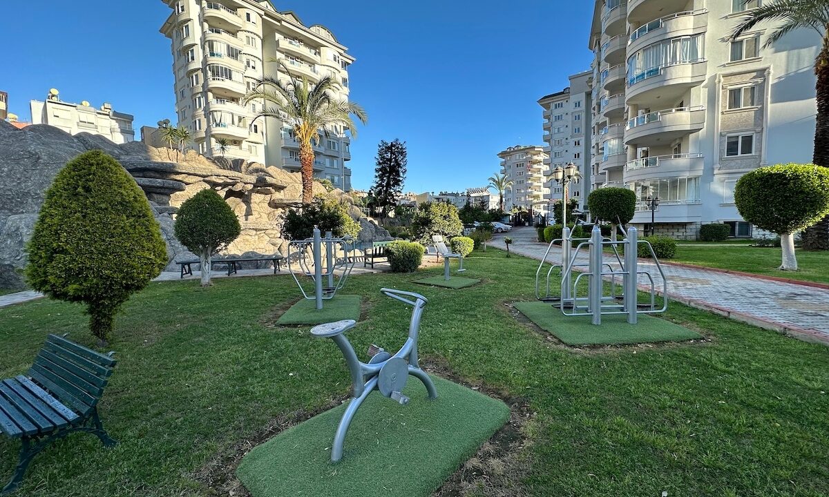 ornage garden B2--04