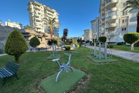 ornage garden B2--04