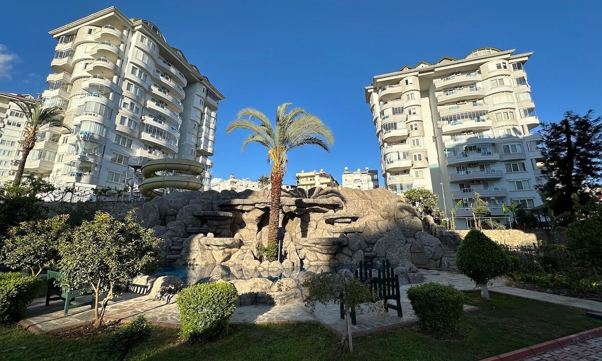 ornage garden B2--05