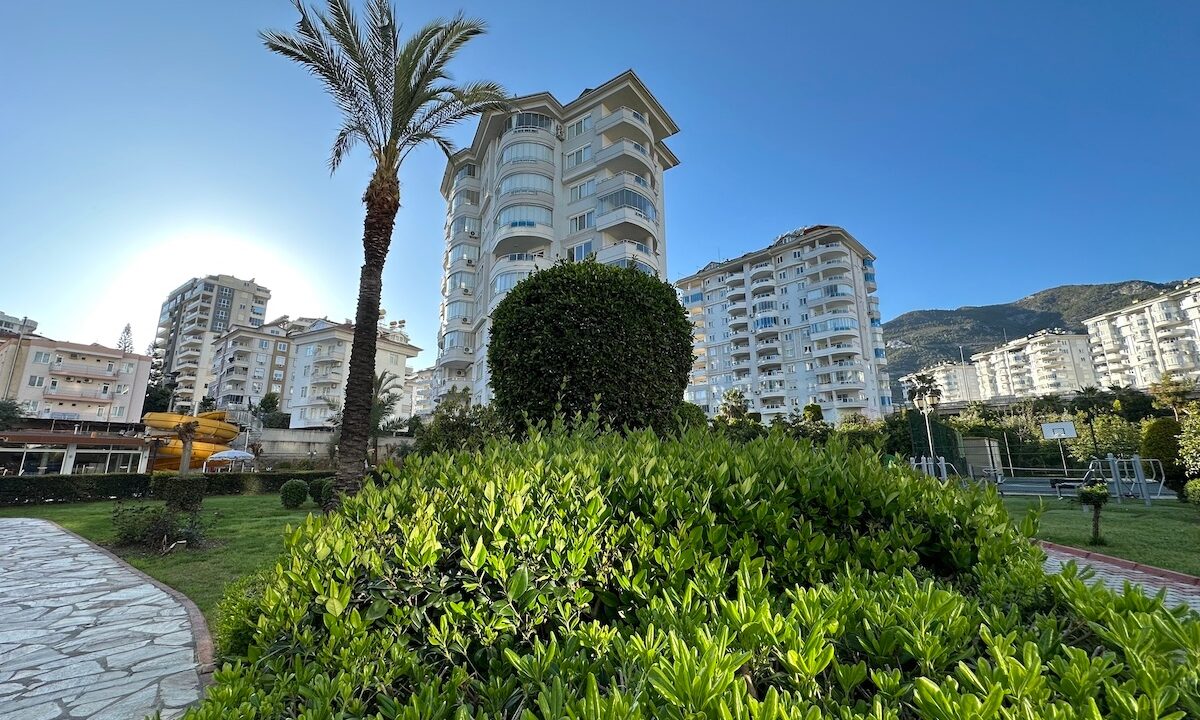 ornage garden B2--06