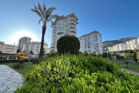 ornage garden B2--06