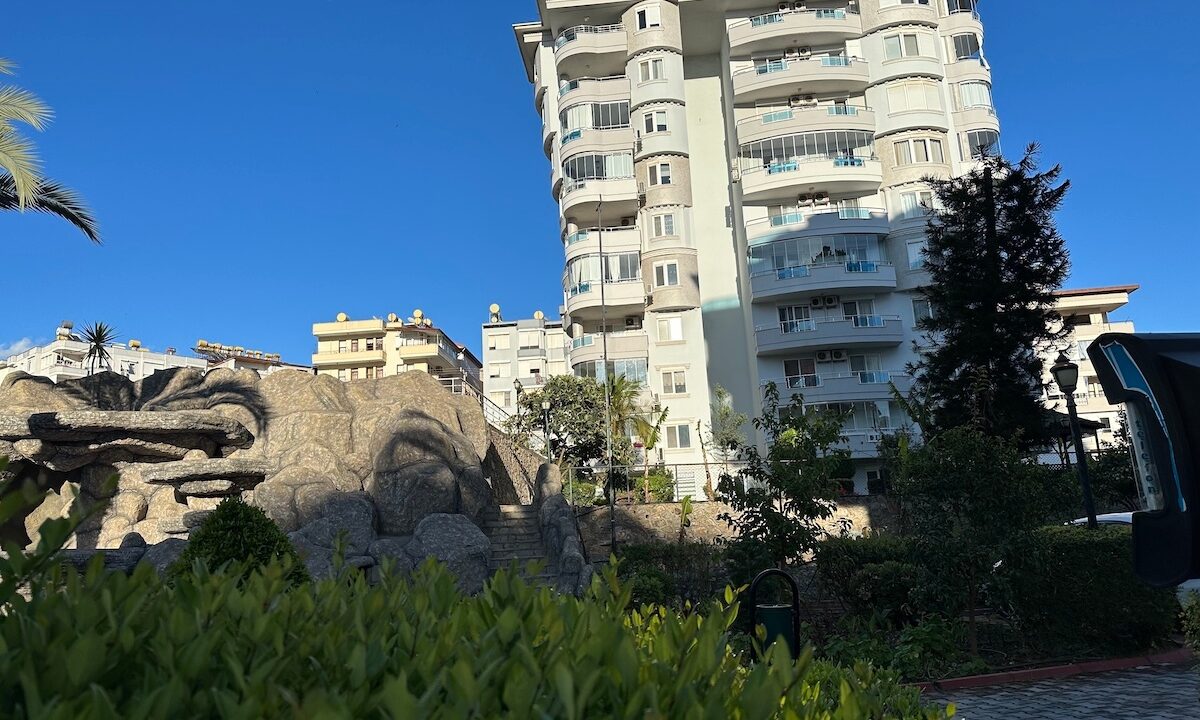 ornage garden B2--07