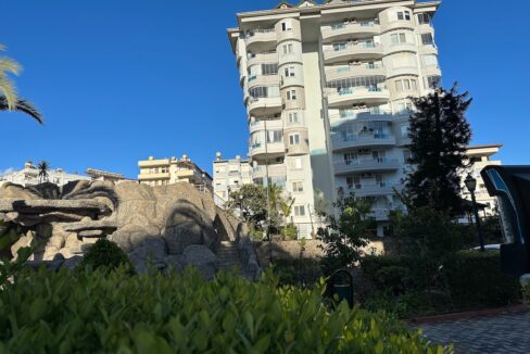 ornage garden B2--07