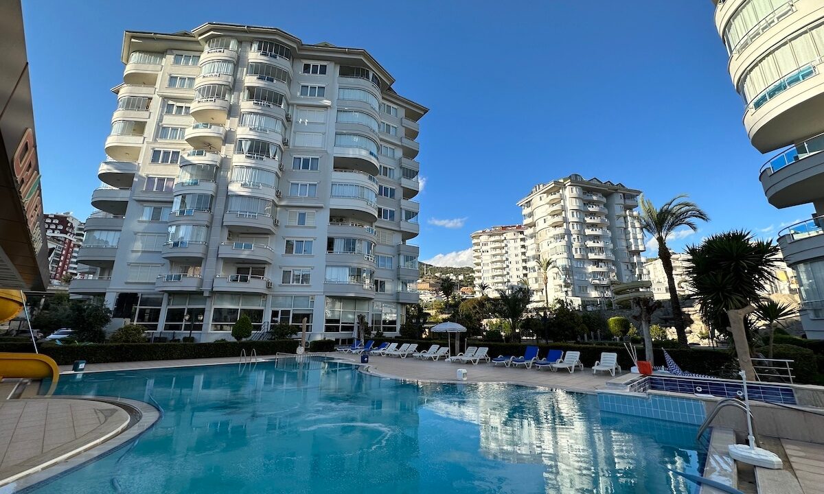 ornage garden B2--08