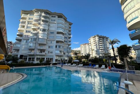 ornage garden B2--08