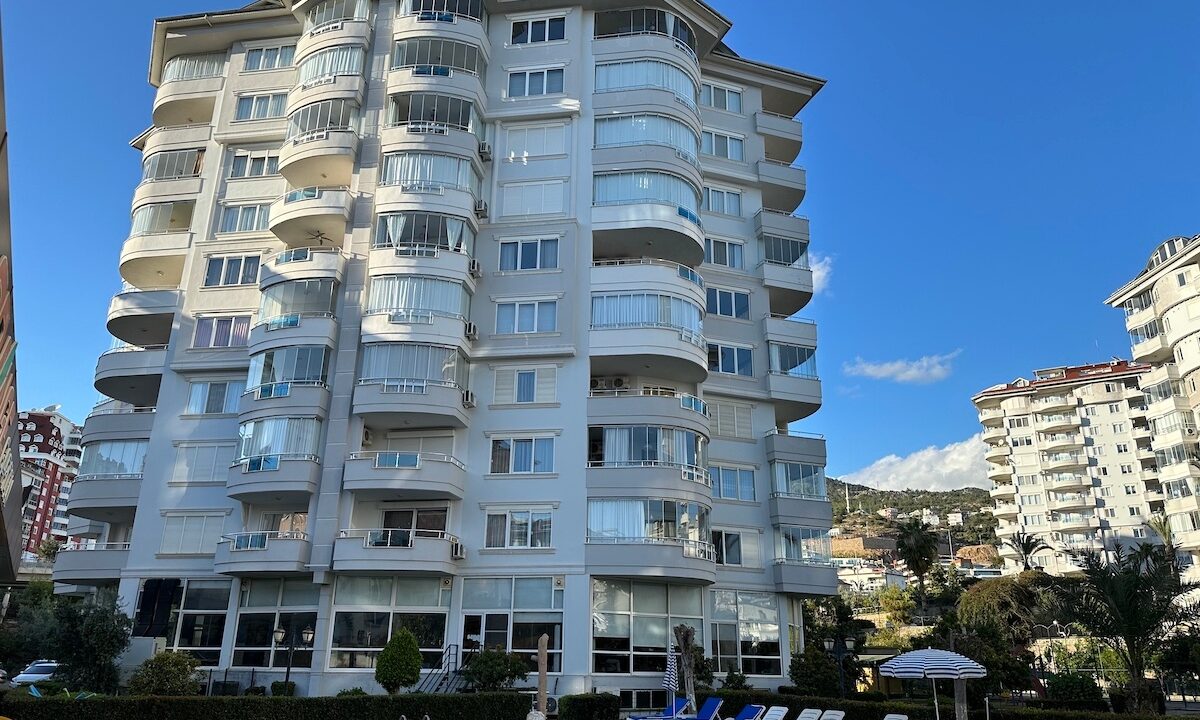 ornage garden B2--09