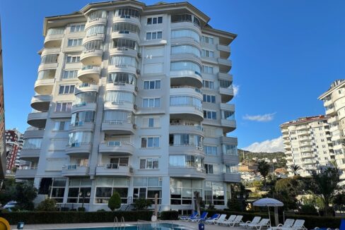 ornage garden B2--09