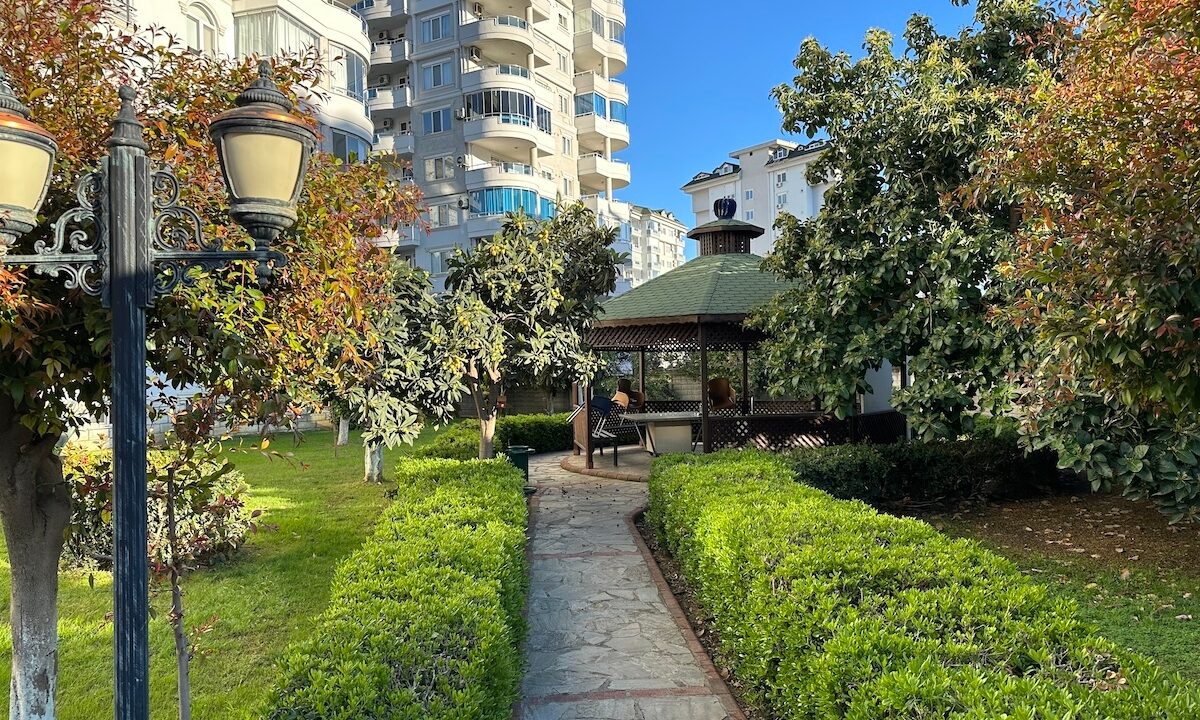 ornage garden B2--10