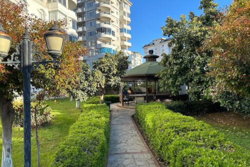 ornage garden B2--10