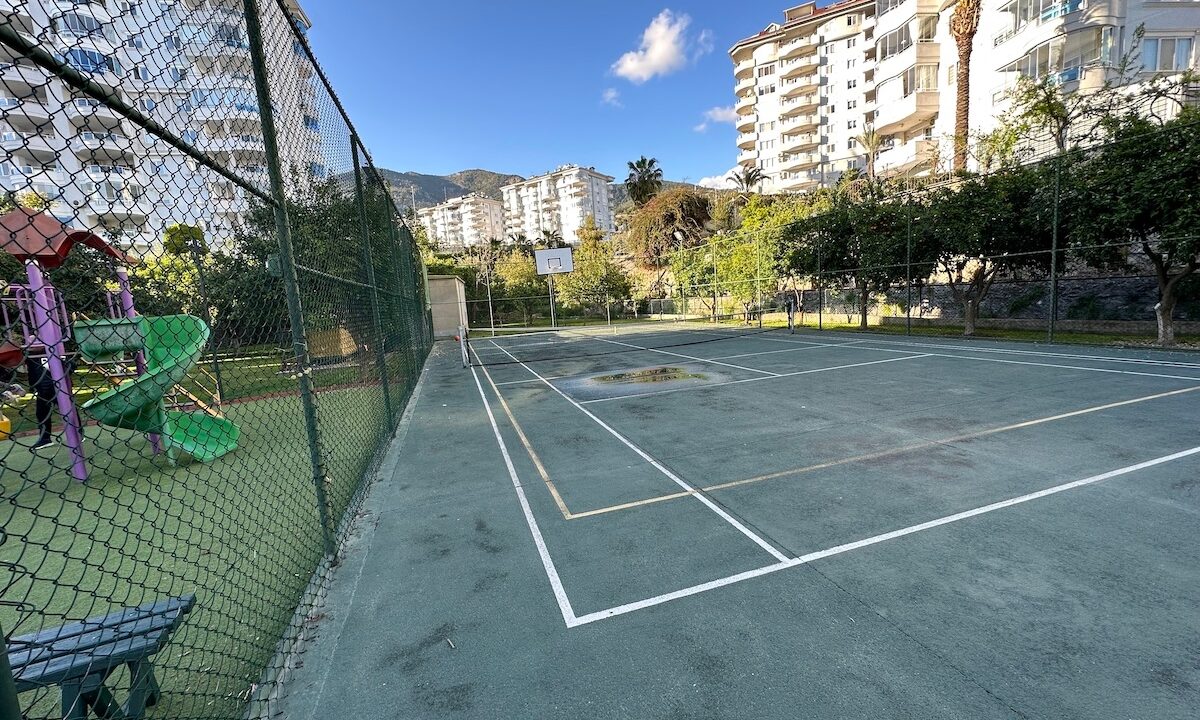 ornage garden B2--15