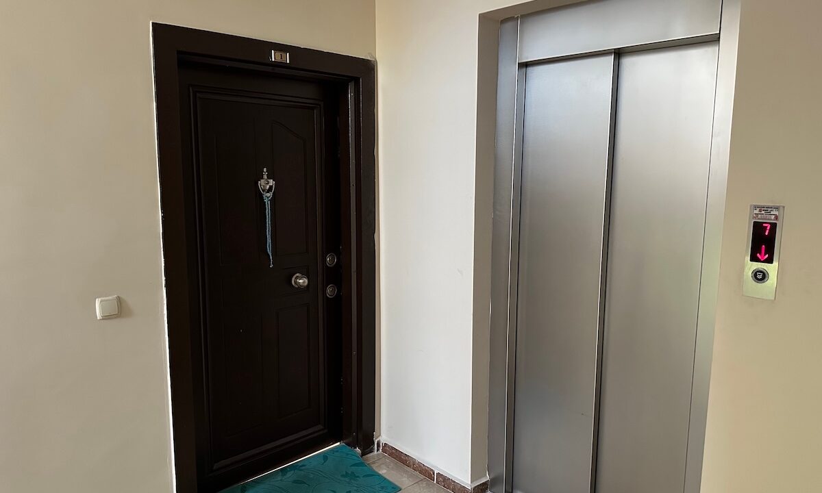 ornage garden B2--16