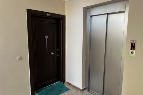 ornage garden B2--16