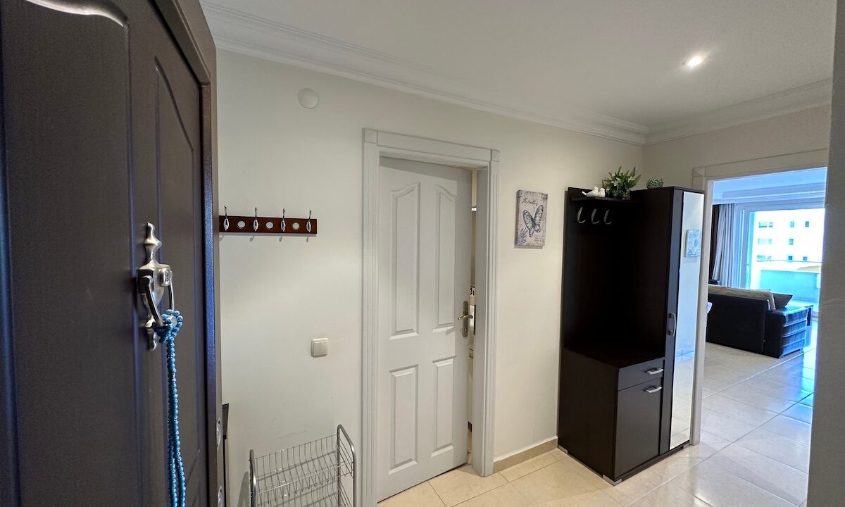 ornage garden B2--17