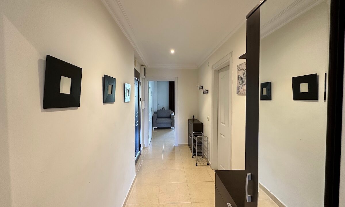 ornage garden B2--18