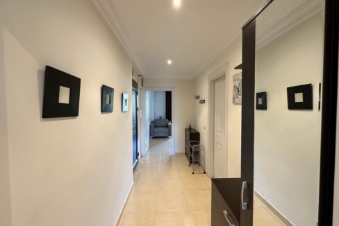 ornage garden B2--18