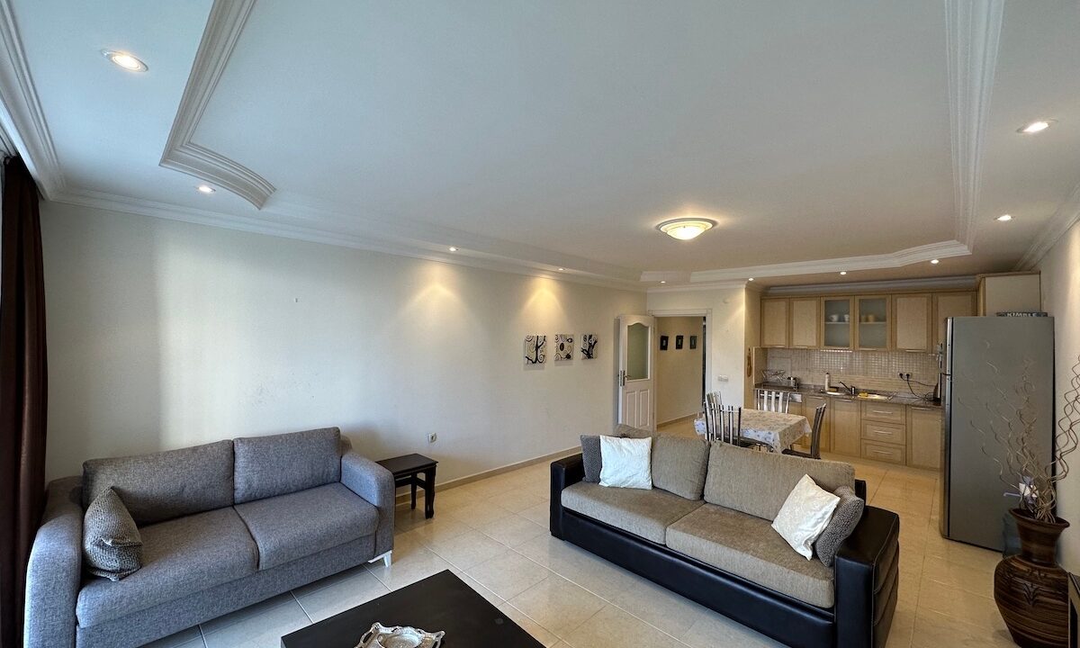 ornage garden B2--20