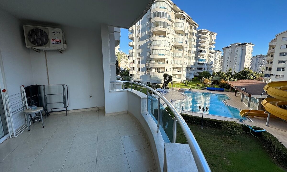 ornage garden B2--25