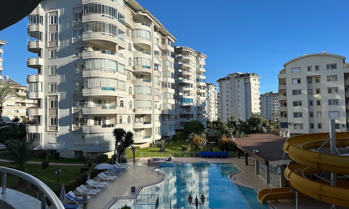 ornage garden B2--26