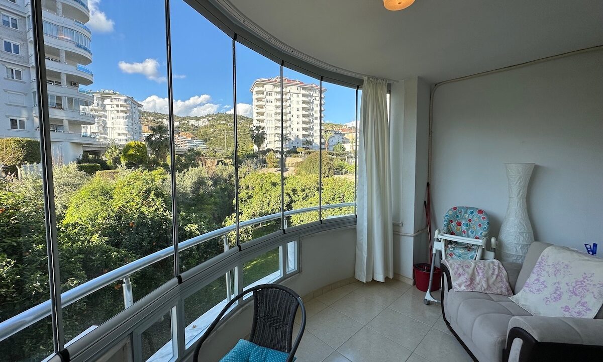 ornage garden B2--31